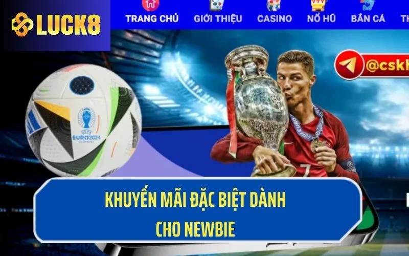 Các ưu đãi đặc biệt dành cho các newbie 