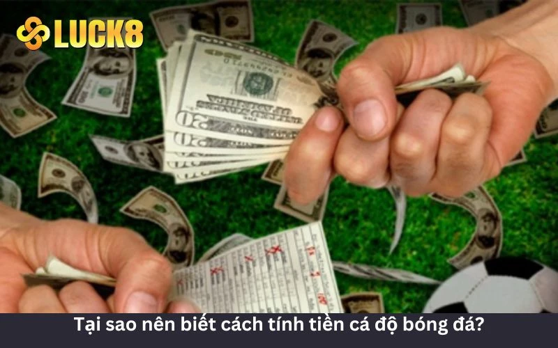 Lý do nên biết cách tính tiền cá độ đá banh 