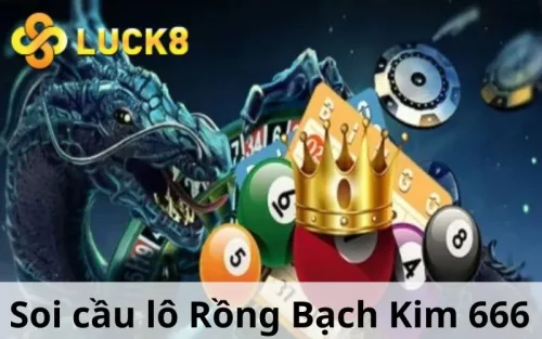 soi-cau-lo-rong-bach-kim-666