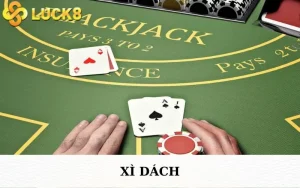 xi-dach